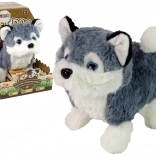 interaktivní plyšový pes husky – chodí, vrtí ocasem a vydává zvuky
