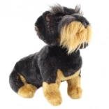 Plyšový jezevčík s vodítkem 29 cm