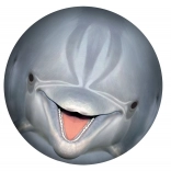 Podvodní míč SPORTO – delfín pro bazén i zahradu