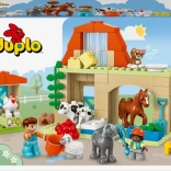lego duplo péče o zvířata na farmě