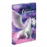 Box na sešity A5 s motivem pegas