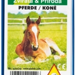 Kvarteto - Koně v plastové krabičce