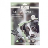 Malování podle čísel Pes