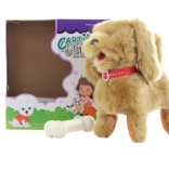 Hnědý pejsek na kabel s ovladačem