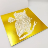 Kniha omalovánek s metalickými motivy zlatá/stříbrná