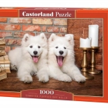 Puzzle 1000 ks Samoyed Puppies Say Hello