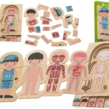 Dřevěná vrstvená puzzle lidské tělo Montessori