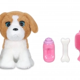 Interaktivní set pejska