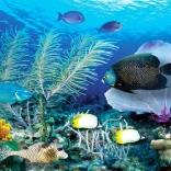 Diamantové malování Oceán 80x40 cm