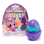 Hatchimals Neónová duha