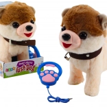 Interaktivní pejsek na vodítku