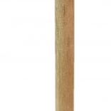 Dřevěná tužka s lvíčkem s chlupatou hřívou