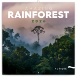 Poznámkový kalendář Deštné pralesy 2026