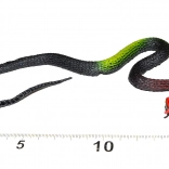 Gumový had ozdoba na Halloween