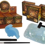 Vykopávky starověkých tvorů – překvapení amonit